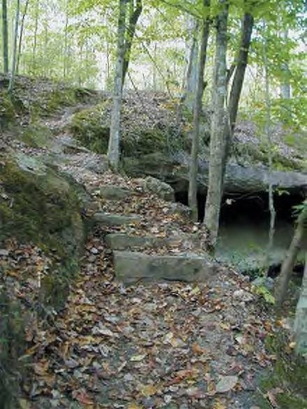 This may contain: steps lead up to a small stream in the woods with leaves on the ground below