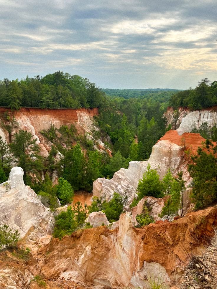 This may contain: an image of a scenic view from the top of a hill with trees on it