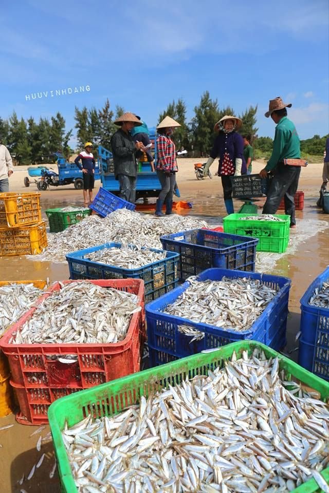 This may contain: several people standing in the water with baskets full of fish