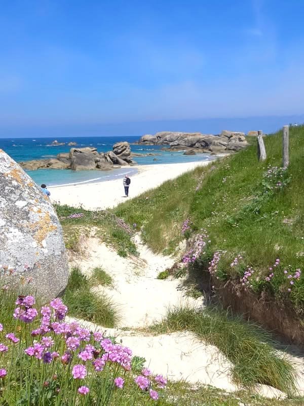 This may contain: a person walking down a path next to the ocean with purple flowers in front of them