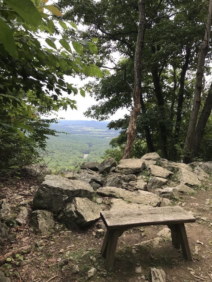 This may contain: a wooden bench sitting on top of a rocky hillside next to trees and rocks in the foreground