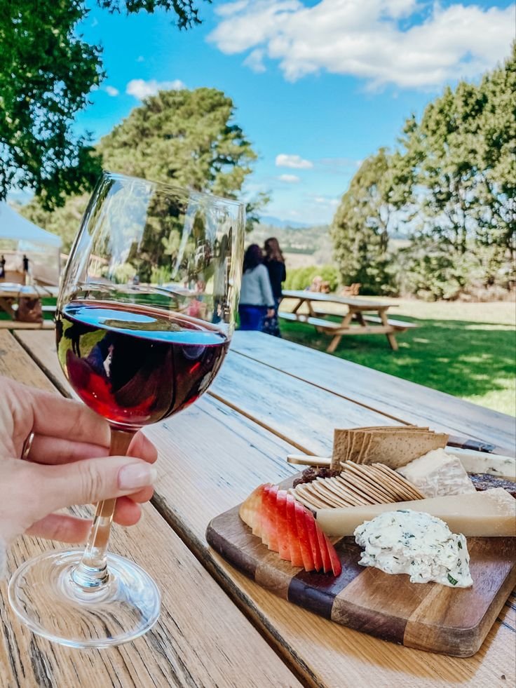 This may contain: a person holding a glass of wine on a picnic table with cheese and watermelon
