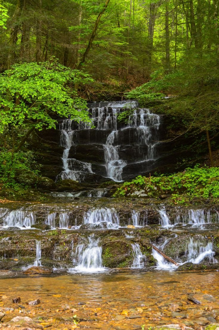 This may contain: a small waterfall in the middle of a forest