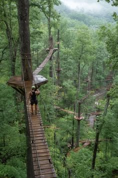 This may contain: a person walking across a suspension bridge in the forest