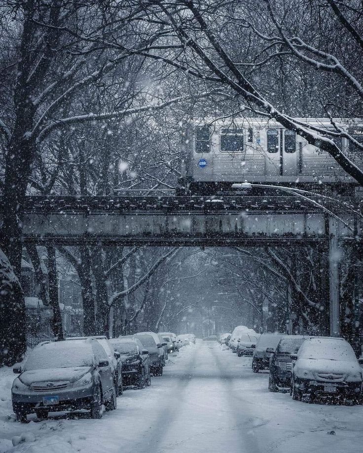 This may contain: a train traveling over a bridge in the middle of a snow covered park filled with parked cars