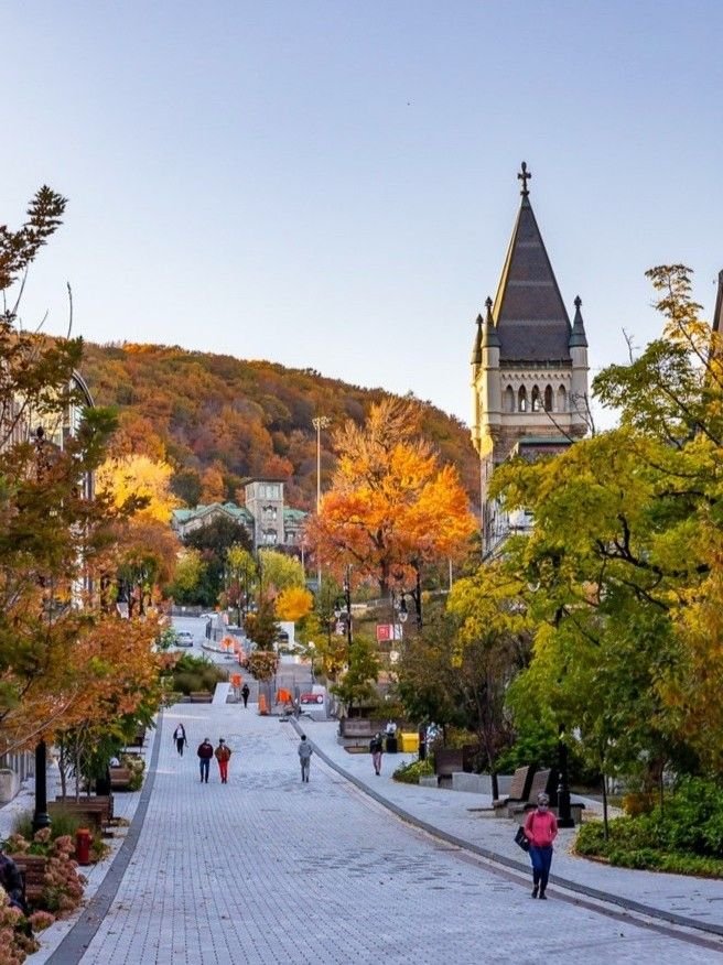 This may contain: people walking down a cobblestone street in the fall with trees lining both sides