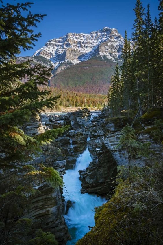This may contain: a river running through a forest filled with trees and snow covered mountains in the background