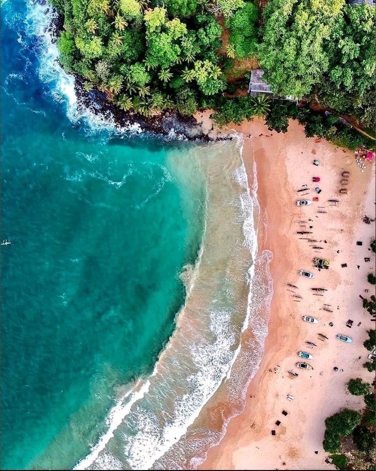 This may contain: an aerial view of a beach with people on the sand and in the water, surrounded by lush green trees
