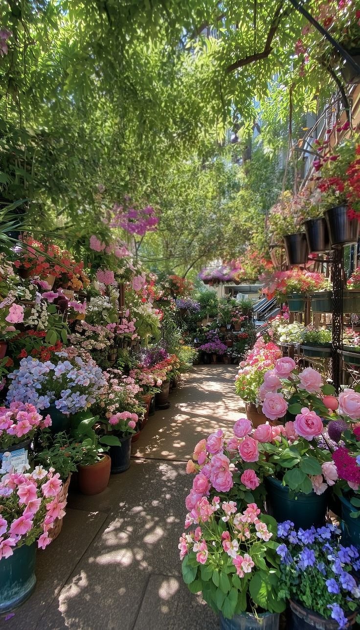 This may contain: many potted plants are lined up on the sidewalk