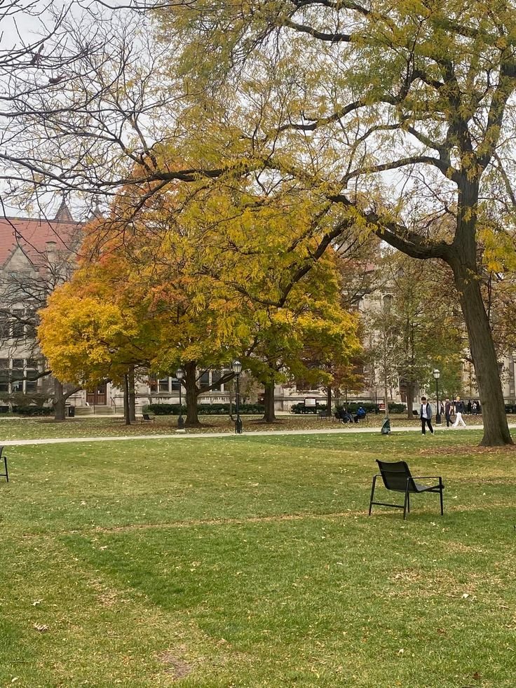 This may contain: two park benches sitting in the middle of a grassy area with trees and buildings in the background