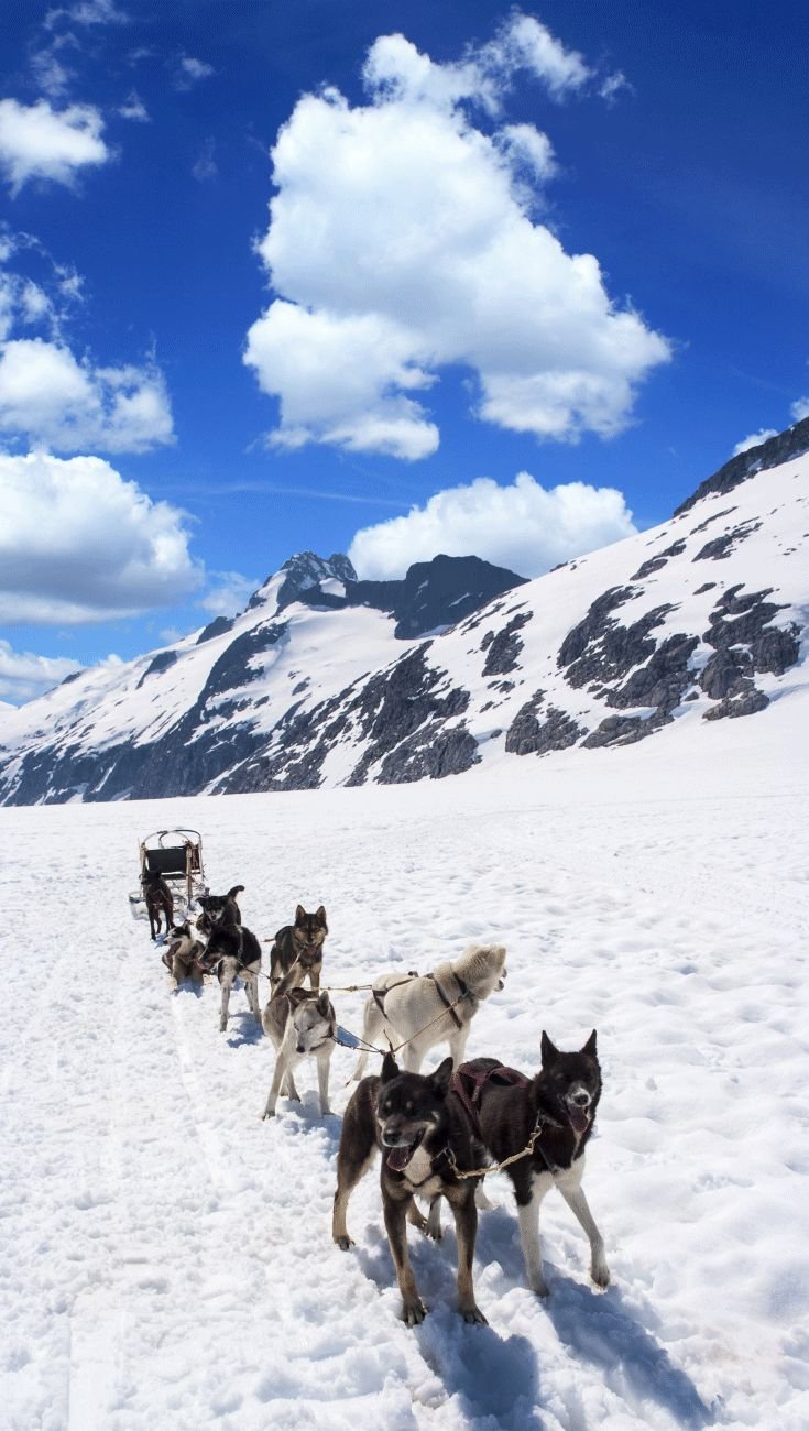 This may contain: two dogs pulling a sled with people on it through the snow in front of a mountain