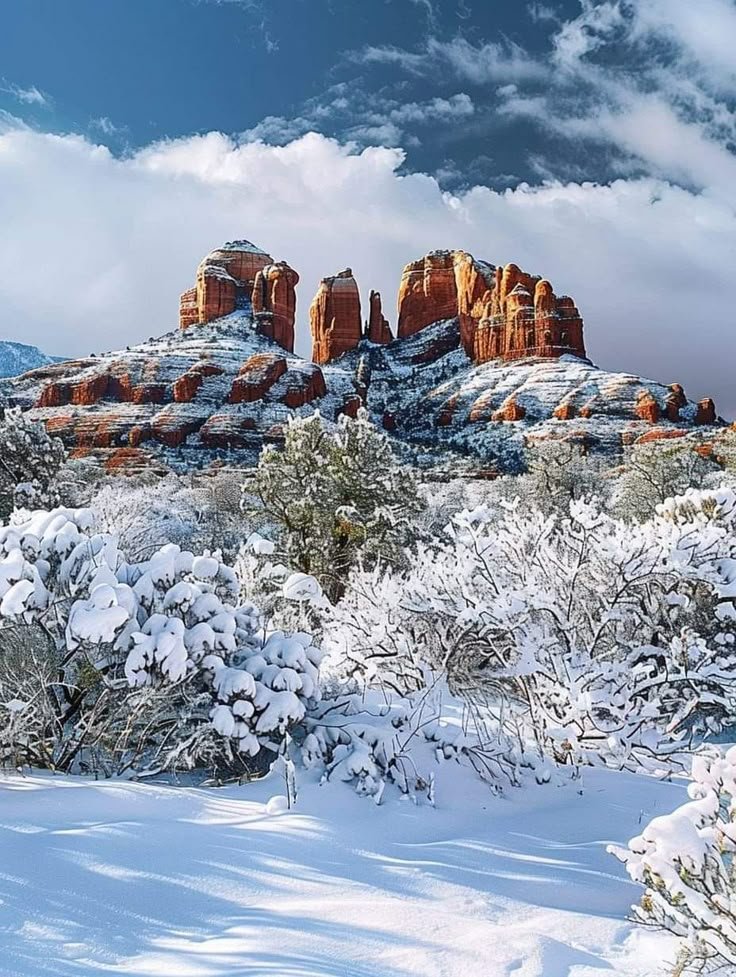 This may contain: snow covers the ground and trees in front of red rock formations