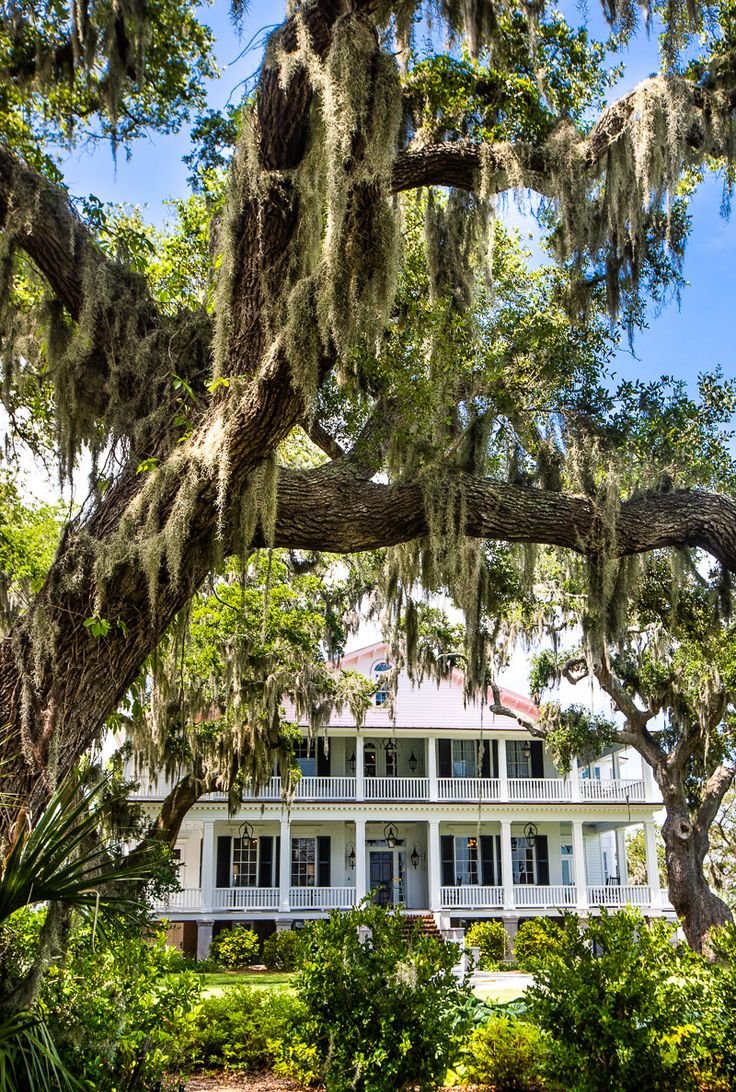 This may contain: a large white house with moss hanging from it's branches