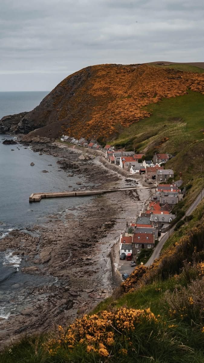 This may contain: a small village on the edge of a body of water near an island with yellow flowers
