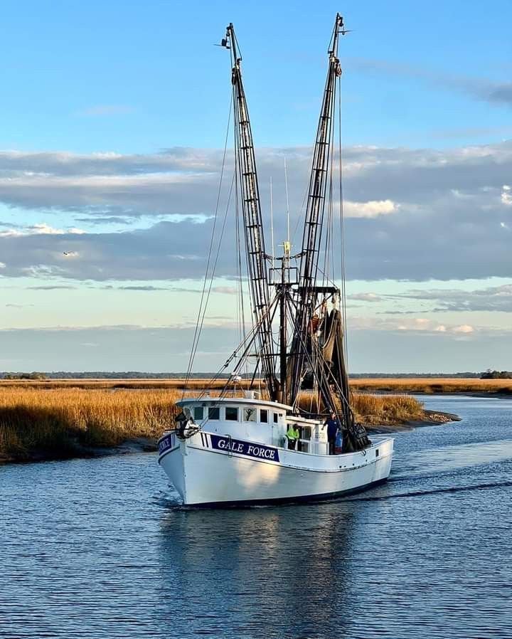 This may contain: a boat is traveling on the water near some grass and reeds in the background