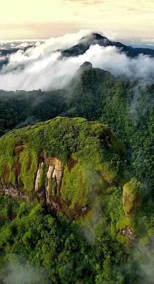 This may contain: an aerial view of a lush green forest covered in mist and clouds, surrounded by mountains
