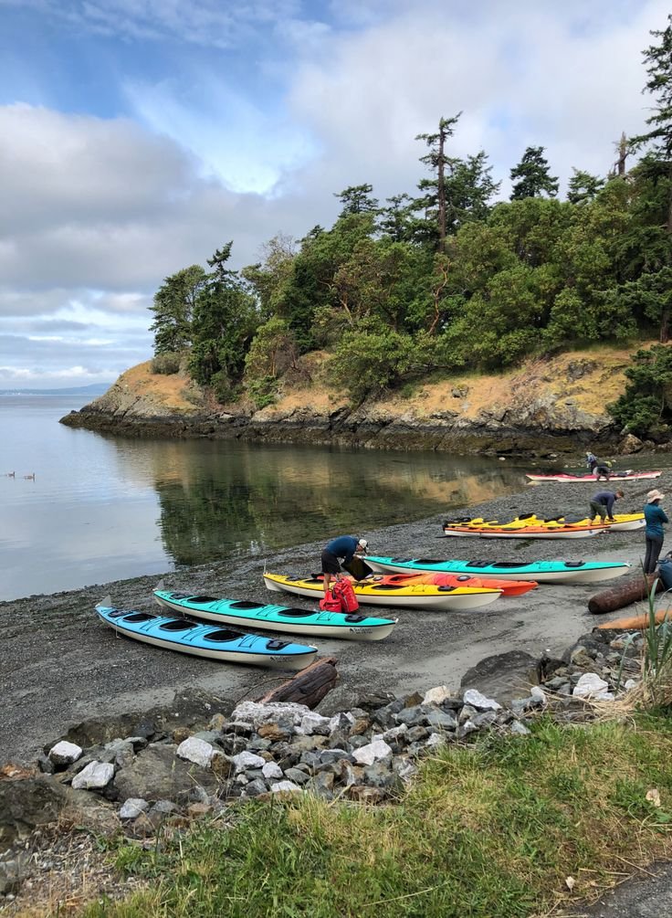 This may contain: several canoes are lined up on the shore next to some rocks and trees,