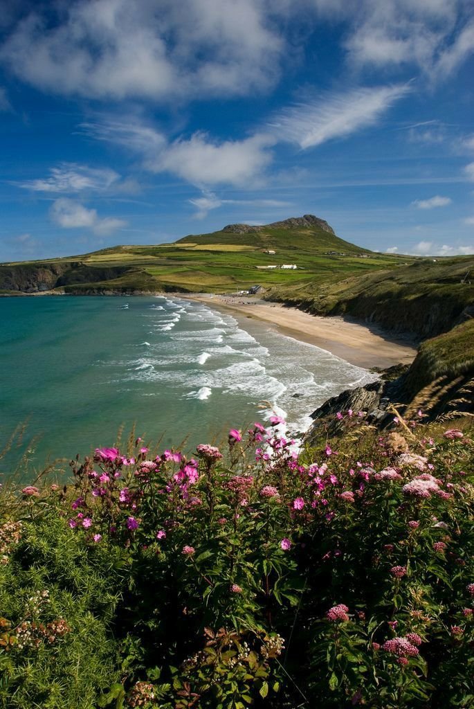 This may contain: the beach is surrounded by wildflowers and green hills