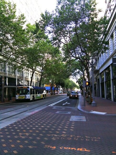 This may contain: a city street filled with lots of traffic next to tall buildings covered in green leafy trees
