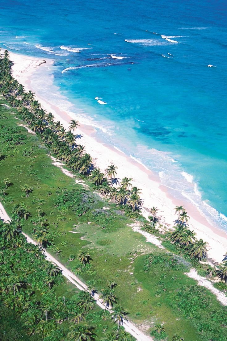This may contain: an aerial view of a beach with palm trees on the shore and blue water in the background