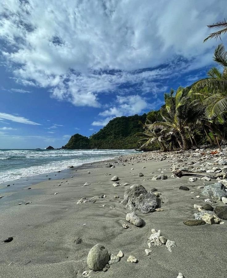 This may contain: the beach has many rocks and palm trees on it