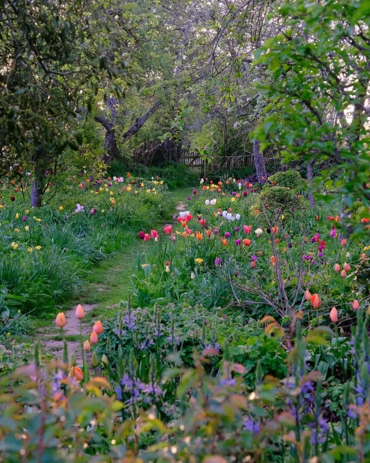 This may contain: a path through a lush green forest filled with lots of wildflowers and trees