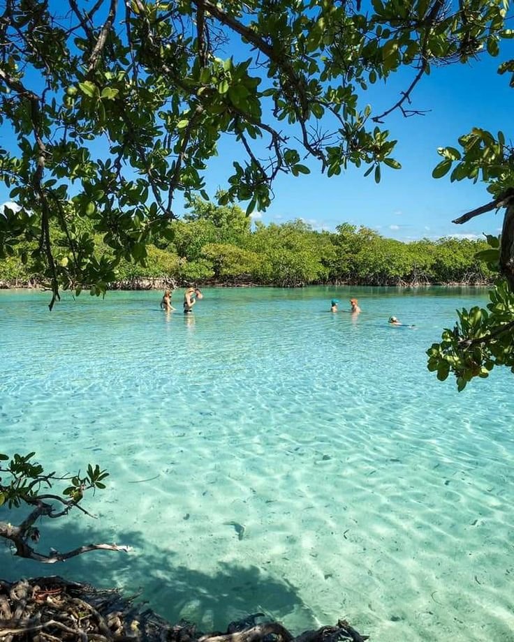 This may contain: some people are swimming in the clear blue water and trees on the other side of the lake