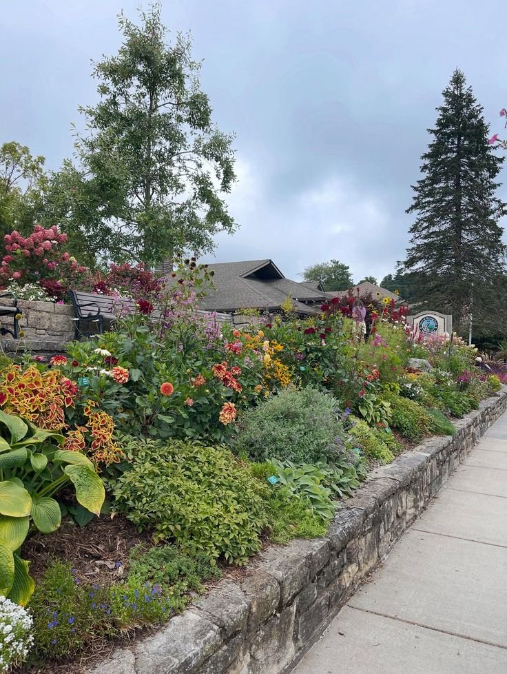 This may contain: an outdoor garden area with flowers and trees