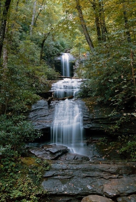 This may contain: a waterfall in the middle of a forest