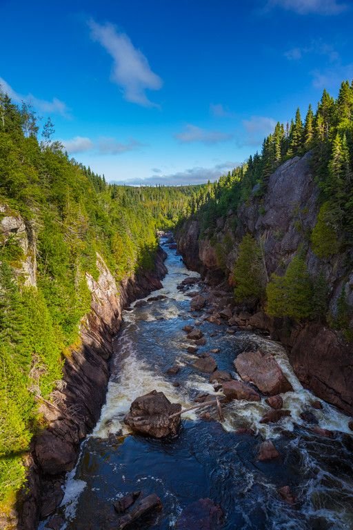 This may contain: a river flowing through a lush green forest filled with rocks and trees on the side of a cliff