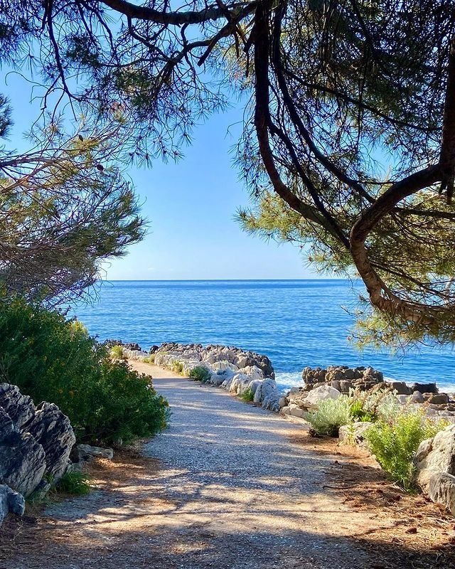 This may contain: the path to the beach is lined with rocks and trees, along with blue water