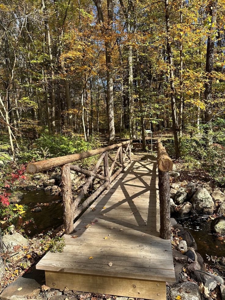 This may contain: a wooden bridge in the middle of a forest with lots of trees and rocks around it