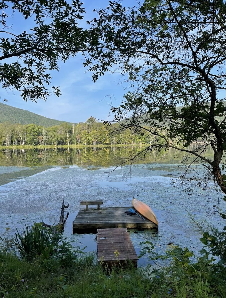 This may contain: a boat sitting on top of a lake next to a wooden dock in the middle of a forest
