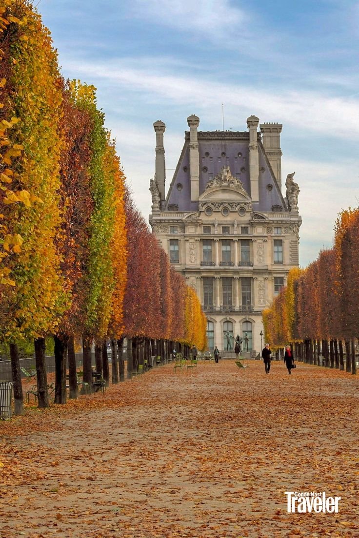 This may contain: people walking in front of a large building with trees lining the walkway and leaves on the ground