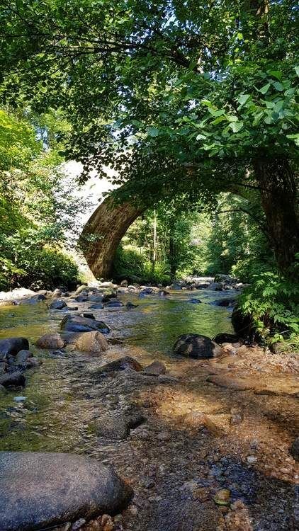 This may contain: a river running through a forest filled with lots of rocks and green trees in the background