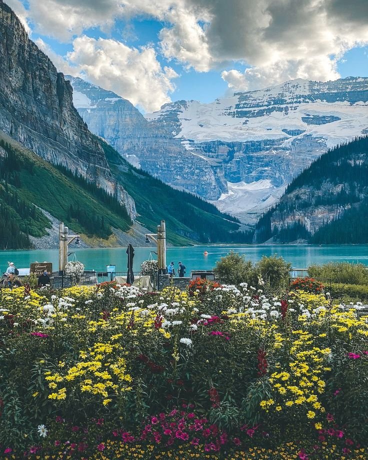 This may contain: flowers in the foreground with mountains in the background and people standing on the other side