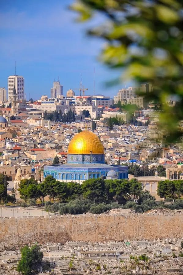 This may contain: the dome of the rock in the middle of the city is surrounded by trees and buildings