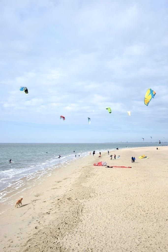 This may contain: many people are flying kites on the beach