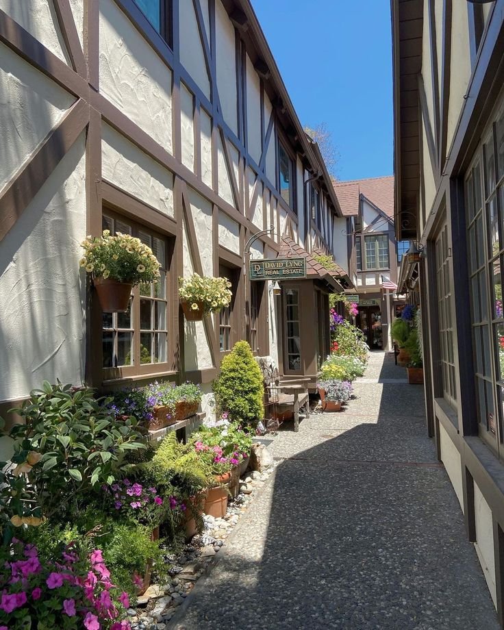 This may contain: an alley way with potted plants and flowers on either side of the building,