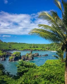 This may contain: the ocean is surrounded by lush green trees