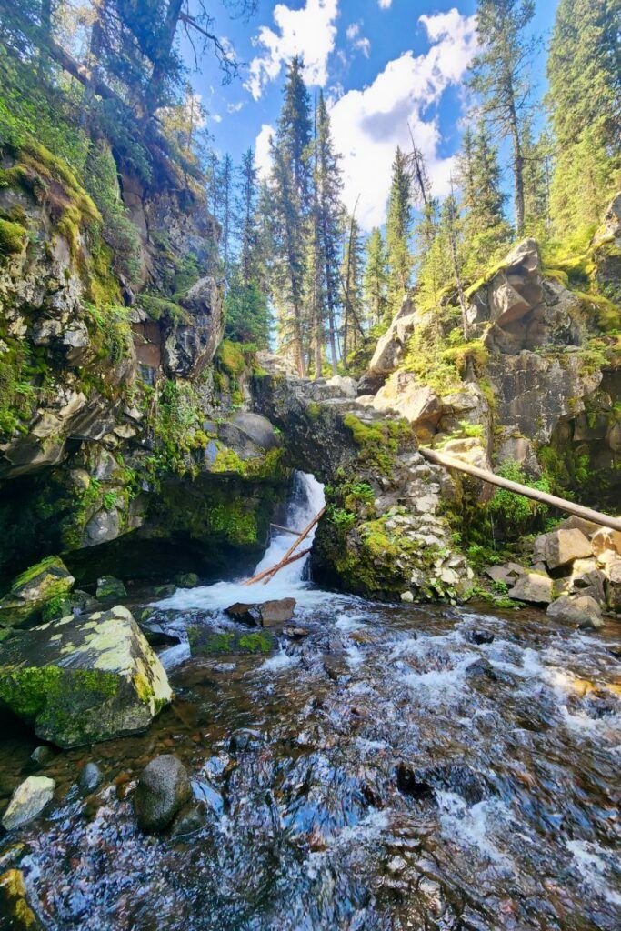 This may contain: a stream running through a forest filled with rocks