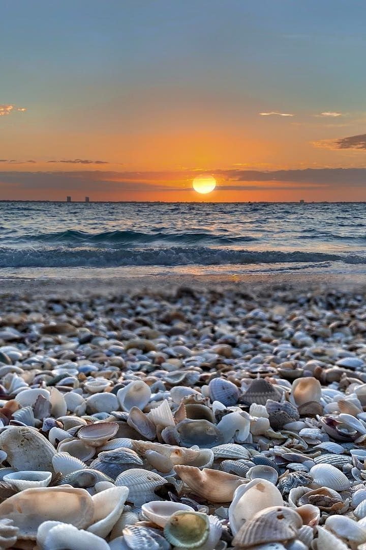 This may contain: the sun is setting over the ocean with many shells on the beach