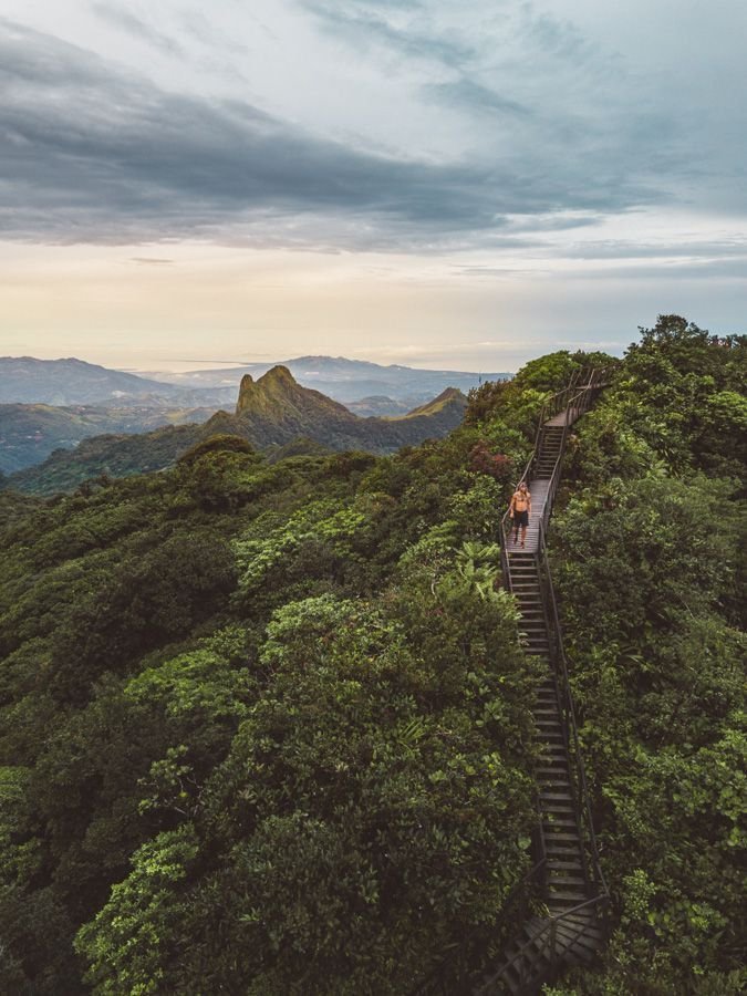 This may contain: people are walking up the stairs on top of a hill in the forest with mountains in the background