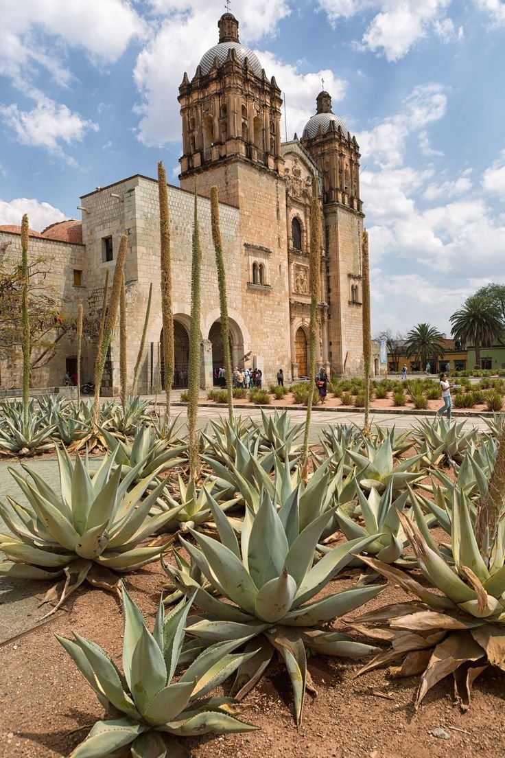This may contain: an old building with many plants in front of it
