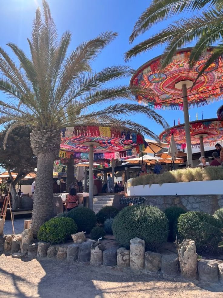 This may contain: palm trees and umbrellas are in the sun