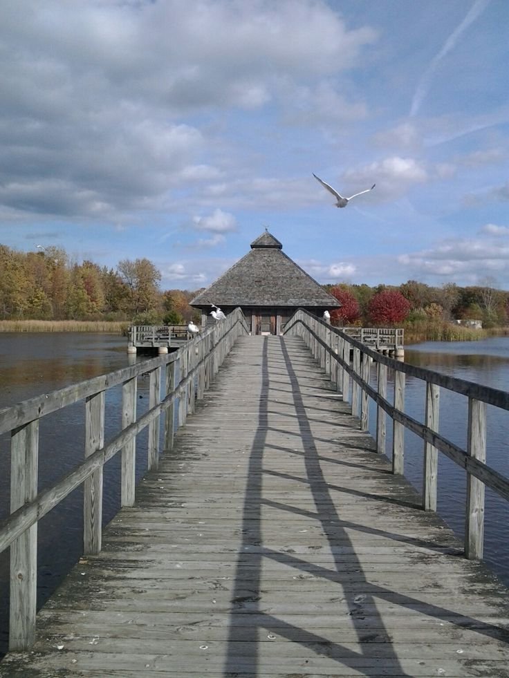 This may contain: a bird flying over a wooden pier in the middle of a body of water with a gazebo on it