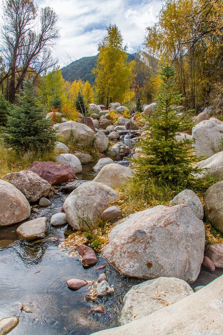 This may contain: a stream running through a forest filled with lots of rocks
