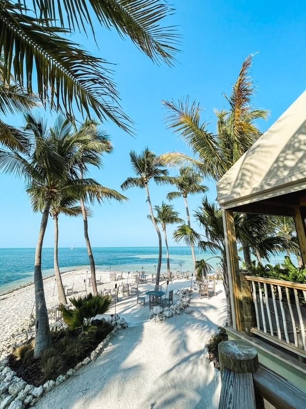 This may contain: the beach is lined with palm trees and chairs