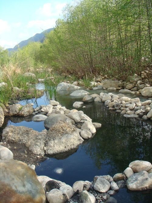 This may contain: a stream running through a lush green forest filled with rocks and water surrounded by tall grass