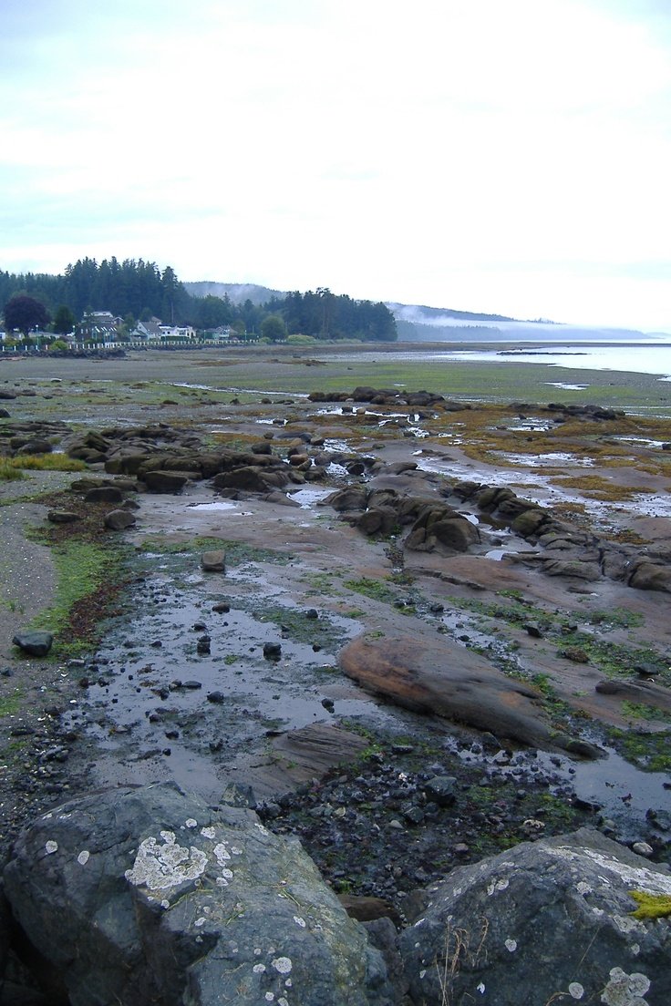 This may contain: there are rocks and water on the beach